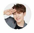 [세븐틴] 홋시는 왜...