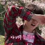 [NCT] 의상에 <b>리본</b>같은거 날릴때 너무좋아