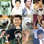 [댓글부탁해] 고3 내신 사탐3개 중에 하나 포기해도될까