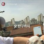 [댓글부탁해] 1초만이라도 이 강아지가 되고 싶다