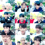 [세븐틴] 더이상 <b>관련글</b> 금지하도록하자