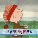 [댓글부탁해] 난 같은 애 있냨 ㅜ