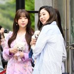 반려견과 함께 출근한 아이돌
