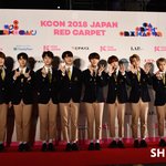 [댓글부탁해] 내 아이돌이 작은 요정이라고 생각하는 사람 들어와