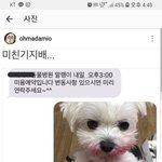 [드루와] 우리반에 이름 조카 특이한애 있음