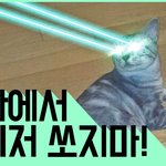 [고양이] [콜라] 싸이클<b>롭스</b> 콜라