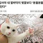 [댓글부탁해] 미친거아니냐 종전이래