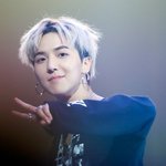 [위너] 귀여워ㅠㅅㅠ