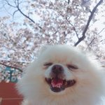 다들 <b>각박</b>한세상 한번 피식하시라구-!