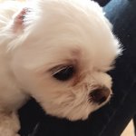 나 진짜 <b>개심</b>각해