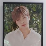 [강다니엘] 이니스프리 상<b>영회</b> 강다니엘 뉴짤