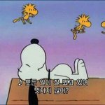 내일 <b>라라</b>랜드 해주는데 기대된다