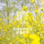 어머니사랑 김장나누기 "국제위러브유운동<b>본부</b> iwf, 회장 장길자"