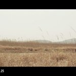 [모두드루와] 여자친구 뮤비 티저뜸(<b>feat</b>.역대급안무)