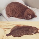 [댓글부탁해] 남자나 <b>남장</b>입장? 잘 아는 애 들어와주라ㅠㅠㅠ