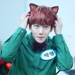 [EXO] 금방이라도 앙앙앙! 짖을거같아