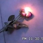 [댓글부탁해] 버건<b>디나</b> 핑크 어울리면