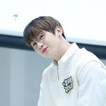 [강다니엘] 퓨 어 화 이 트