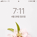 복숭아 꽃 그거 할 사람 들어와바