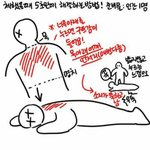 나두 닮은거 특징 찾아죠