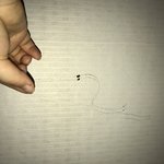 <b>Cu</b>편의점에 파는 티라미수에 머리카락 나옴;;;