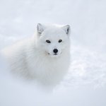 잠이나 <b>자라</b>