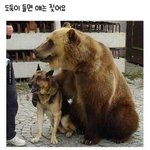 잠좀 <b>자라</b> 언제 사람될래