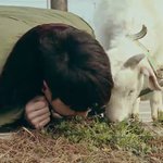 [EXO] 너희 <b>사장</b> 중궈방송에서 풀뜯어 먹는거 봤냐