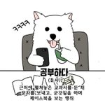 고1 <b>벼락</b>치기