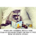 [댓글부탁해] 나 진짜 사랑 못 받아서 <b>안달</b>난 것 같아 내가 생각해도...