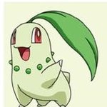 이거 추반하면 기말 존 나 잘봄