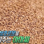 아마씨 15g을 매일 먹을 때 우리 몸에 발생하는 놀라운 변화