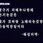 [조언부탁해] 인터넷에서 옷 사본애들 있냐 제발!!