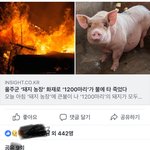 페이스북 <b>일부</b> 한국남자들 이정도면 정병아니나