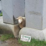 우리반에 <b>여혐</b>하는애있음