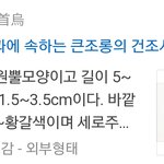 [EXO] 백수오, 곤장, 그녀는 누구인가