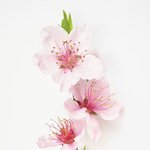 [짝사랑] 난 <b>연애운</b> 없나봐...ㅎ