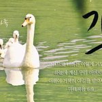 가정의 달5월 하나님의교회의 천국가족