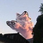[드루와] 압구정로데오 주변맛집, 베이커리 추천해주라ㅠㅠㅠㅠ