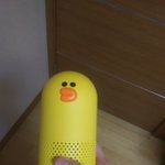 [댓글부탁해] 야 샐리 이ㅅ끼 안되겠네;;;