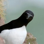 [추반] <b>페미니즘</b>/이퀼리즘