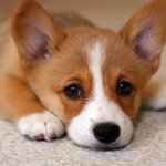 [19] <b>랜챗</b> 괜찮을까 ㅠㅠ