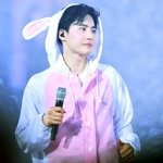 [드루와] sm에 있는 <b>토끼</b>삼남매