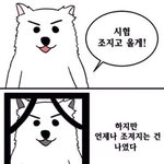 [댓글부탁해] 여러분 썬<b>크림</b>을 바를까 말꽈