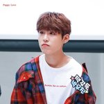 [박우진] 갓니슾 <b>셔츠</b>