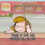 중3인데 시험기간에 10대판 보다보면