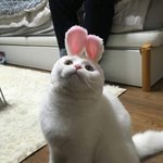 [드루와] 내 친구들 공부 <b>존</b>.나<b>못</b>해 진짜