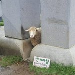 [댓글부탁해] <b>뷰러</b> 솔직히 거기서 거기인거같음