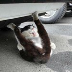 나 <b>홍대미대</b> 가고싶은데 무슨책 읽어야해?