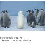 내 친구 종교에 미친 듯...